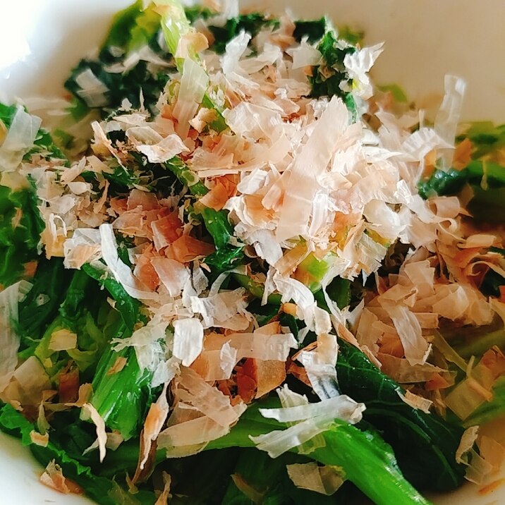 油菜のわさび醤油和え たっぷり鰹がけ レシピ 作り方 By やっすん 楽天レシピ 油菜のわさび醤油和え たっぷり鰹がけ レシピ 作り方 By やっすん 楽天レシピ
